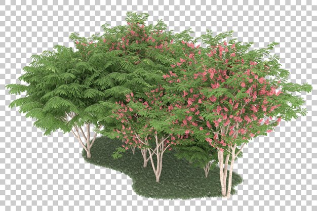 Foresta su sfondo trasparente. rendering 3D - illustrazione