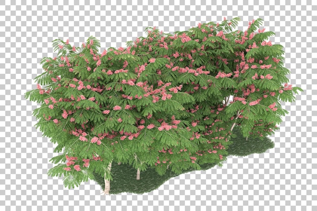 Foresta su sfondo trasparente. rendering 3D - illustrazione