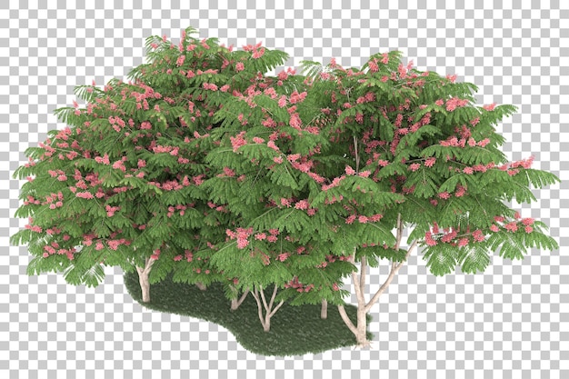 Foresta su sfondo trasparente. rendering 3D - illustrazione