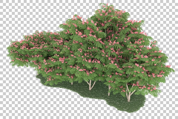 Foresta su sfondo trasparente. rendering 3D - illustrazione