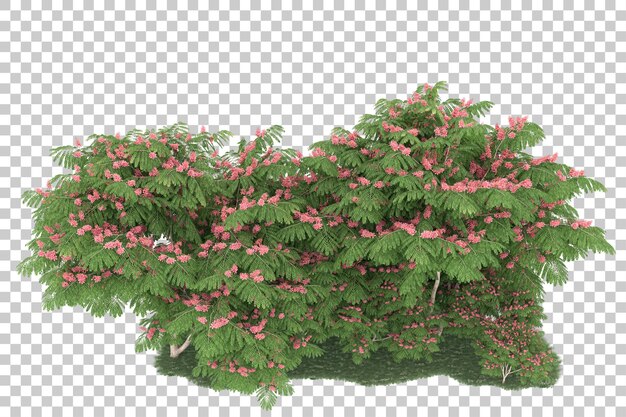 Foresta su sfondo trasparente. rendering 3D - illustrazione
