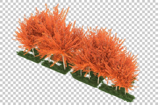 Foresta su sfondo trasparente. rendering 3D - illustrazione