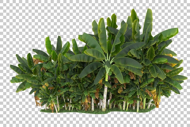 Foresta su sfondo trasparente. rendering 3D - illustrazione