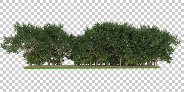 Foresta su sfondo trasparente. rendering 3D - illustrazione