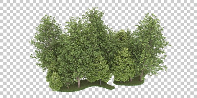 Foresta su sfondo trasparente. rendering 3D - illustrazione