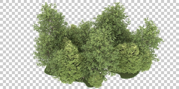 Foresta su sfondo trasparente. rendering 3D - illustrazione