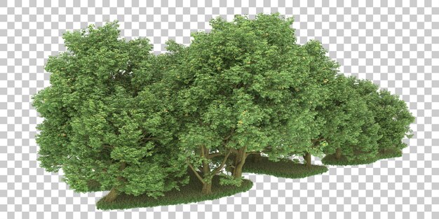 Foresta su sfondo trasparente. rendering 3D - illustrazione