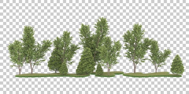 Foresta su sfondo trasparente. rendering 3D - illustrazione