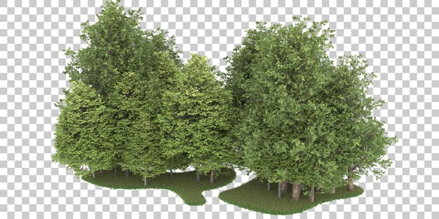 Foresta su sfondo trasparente. rendering 3D - illustrazione