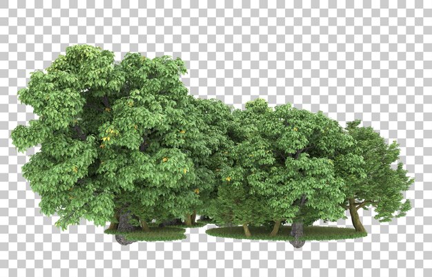 Foresta su sfondo trasparente. rendering 3D - illustrazione
