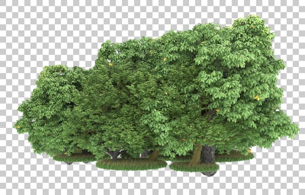 Foresta su sfondo trasparente. rendering 3D - illustrazione