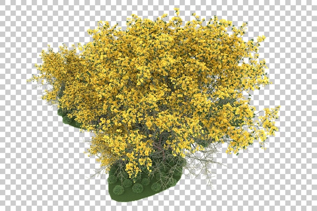 Foresta su sfondo trasparente. rendering 3D - illustrazione