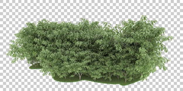Foresta su sfondo trasparente. rendering 3D - illustrazione