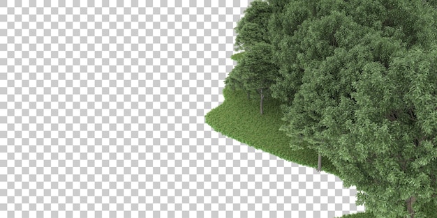 Foresta su sfondo trasparente. rendering 3D - illustrazione