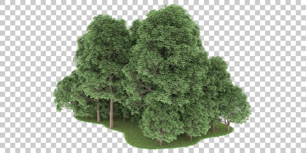 Foresta su sfondo trasparente. rendering 3D - illustrazione