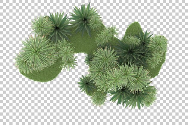 Foresta tropicale isolata su sfondo trasparente 3d rendering illustrazione