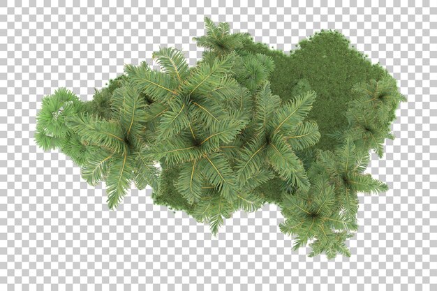 Foresta tropicale isolata su sfondo trasparente 3d rendering illustrazione