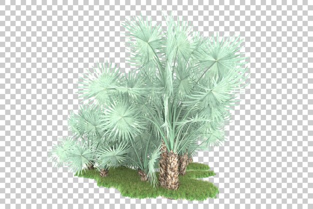 Foresta tropicale isolata su sfondo trasparente 3d rendering illustrazione
