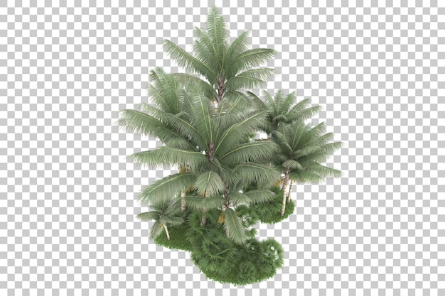 Foresta tropicale isolata su sfondo trasparente 3d rendering illustrazione