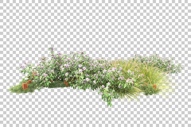 Foresta tropicale isolata su sfondo trasparente 3d rendering illustrazione