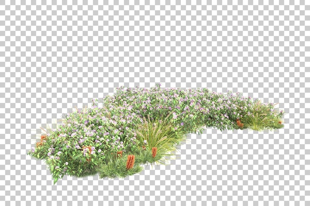 Foresta tropicale isolata su sfondo trasparente 3d rendering illustrazione