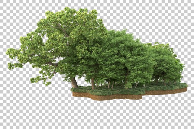 Foresta tropicale isolata su sfondo trasparente 3d rendering illustrazione