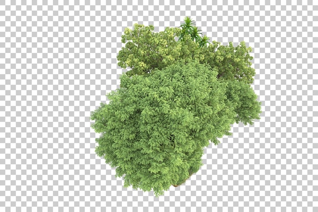 Foresta tropicale isolata su sfondo trasparente 3d rendering illustrazione