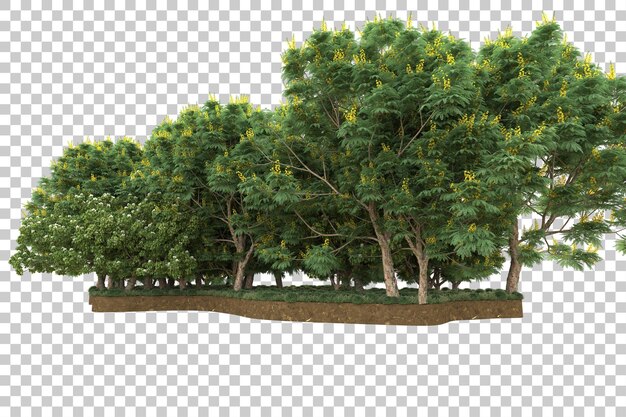 Foresta tropicale isolata su sfondo trasparente 3d rendering illustrazione
