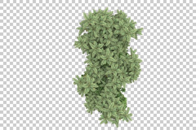 Foresta tropicale isolata su sfondo trasparente 3d rendering illustrazione