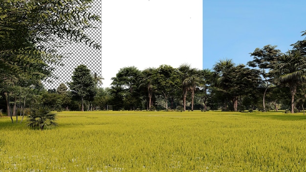 Foresta tropicale sfondo trasparente rendering 3D