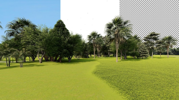 Foresta tropicale sfondo trasparente rendering 3D