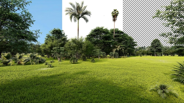 Foresta tropicale sfondo trasparente rendering 3D