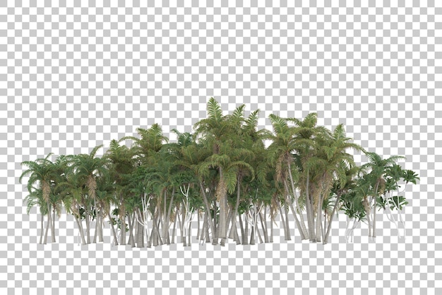 Foresta tropicale su sfondo trasparente. rendering 3D - illustrazione