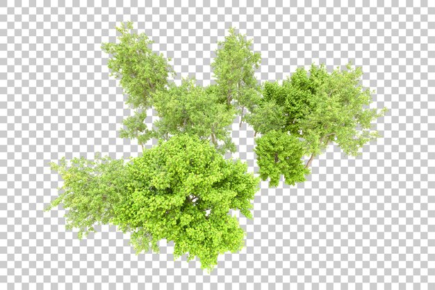 Foresta verde isolata su sfondo trasparente illustrazione di rendering 3d