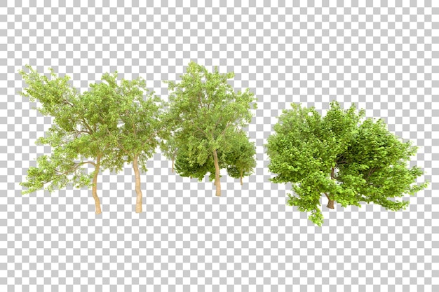 Foresta verde isolata su sfondo trasparente illustrazione di rendering 3d