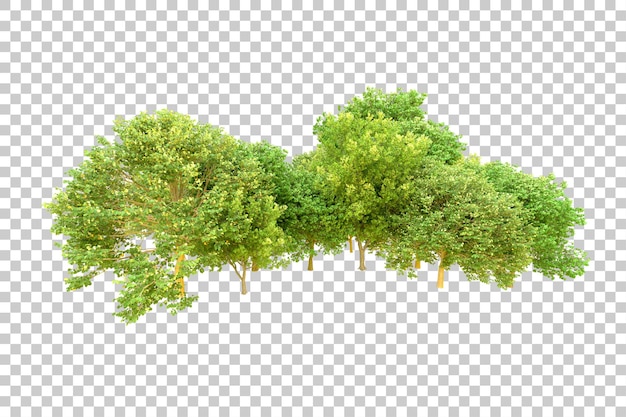 Foresta verde isolata su sfondo trasparente illustrazione di rendering 3d