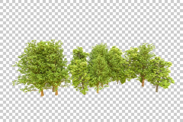 Foresta verde isolata su sfondo trasparente illustrazione di rendering 3d