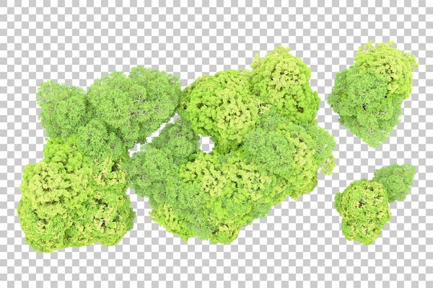 Foresta verde isolata su sfondo trasparente illustrazione di rendering 3d