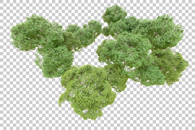 Foresta verde isolata su sfondo trasparente illustrazione di rendering 3d