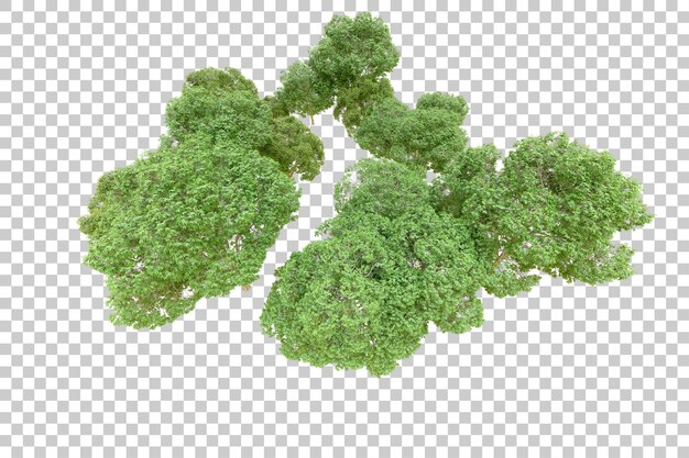 Foresta verde isolata su sfondo trasparente illustrazione di rendering 3d