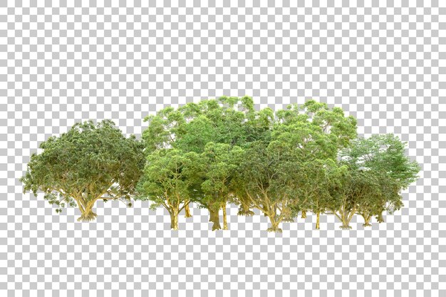 Foresta verde isolata su sfondo trasparente illustrazione di rendering 3d