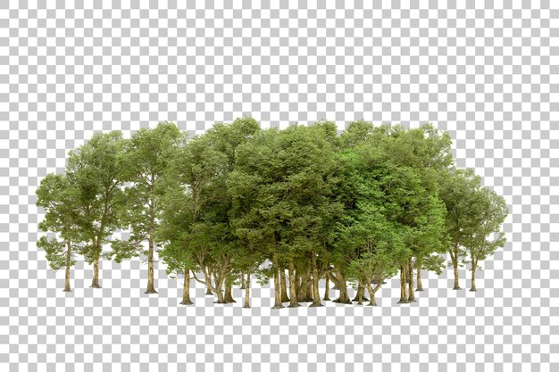 Foresta verde isolata su sfondo trasparente illustrazione di rendering 3d