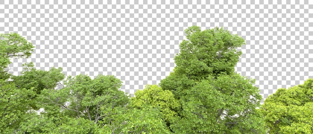 Foresta verde isolata su sfondo trasparente illustrazione di rendering 3d