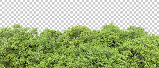 Foresta verde isolata su sfondo trasparente illustrazione di rendering 3d