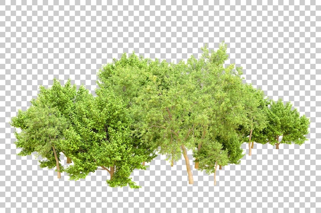 Foresta verde isolata su uno sfondo trasparente illustrazione di rendering 3D