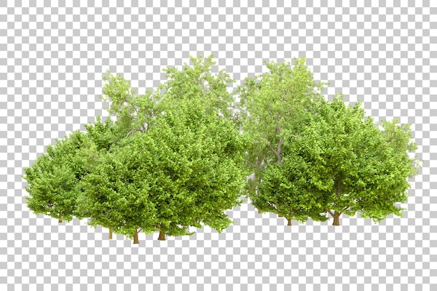 Foresta verde isolata su uno sfondo trasparente illustrazione di rendering 3D