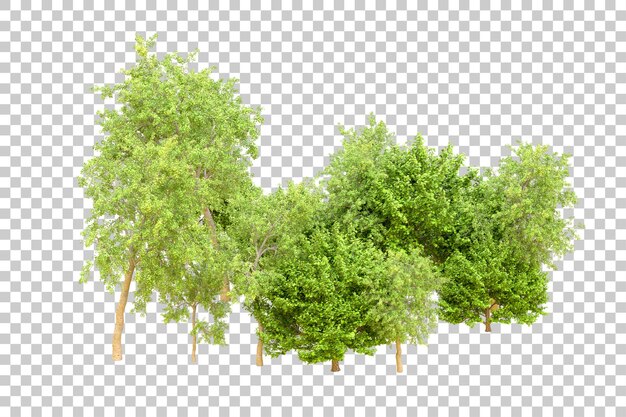 Foresta verde isolata su uno sfondo trasparente illustrazione di rendering 3D