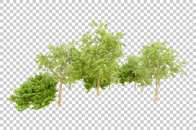 Foresta verde isolata su uno sfondo trasparente illustrazione di rendering 3D