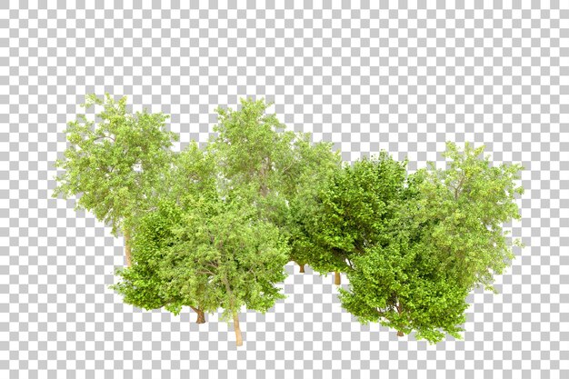 Foresta verde isolata su uno sfondo trasparente illustrazione di rendering 3D