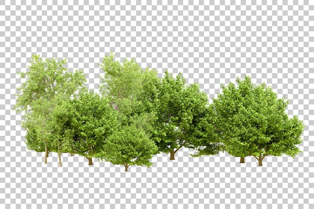 Foresta verde isolata su uno sfondo trasparente illustrazione di rendering 3D